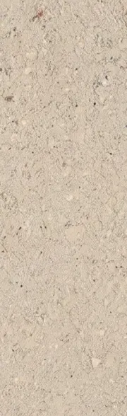 C05 Ivory Stone tile surface close-up