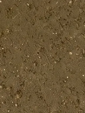 C10 Olive Brown recycled mineral tile surface close-up