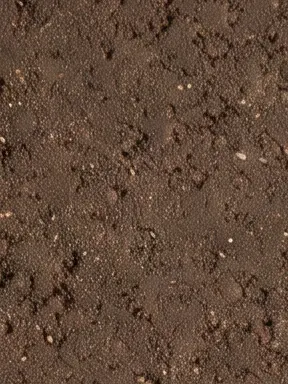 C14 Dark Umber recycled mineral tile surface close-up