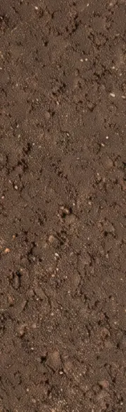 C14 Dark Umber tile surface close-up