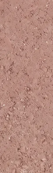 C16 Dusty Rose tile surface close-up